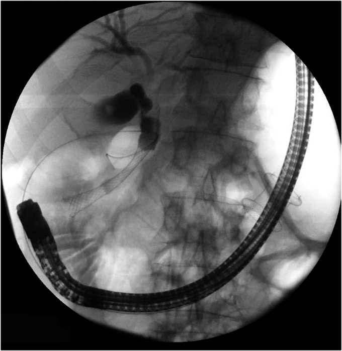 Figure 9