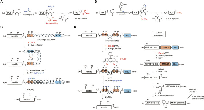 FIGURE 2