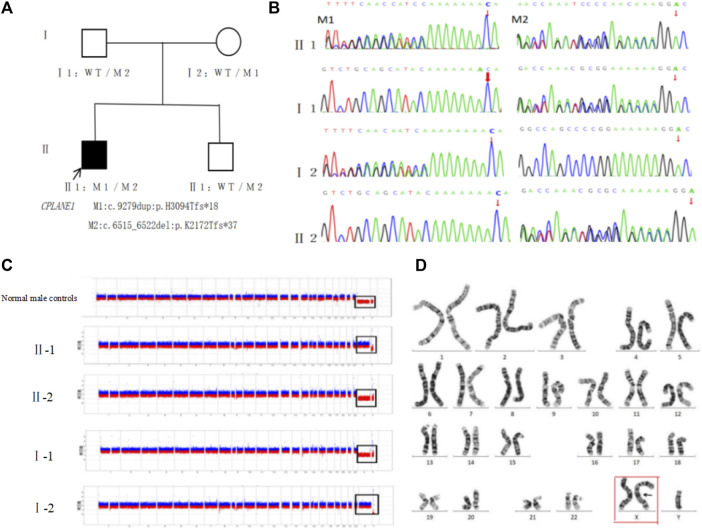 FIGURE 3