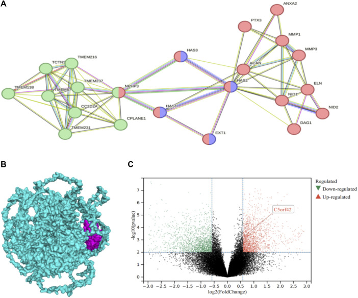 FIGURE 4