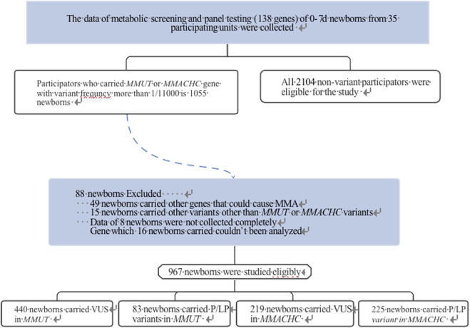 FIGURE 1