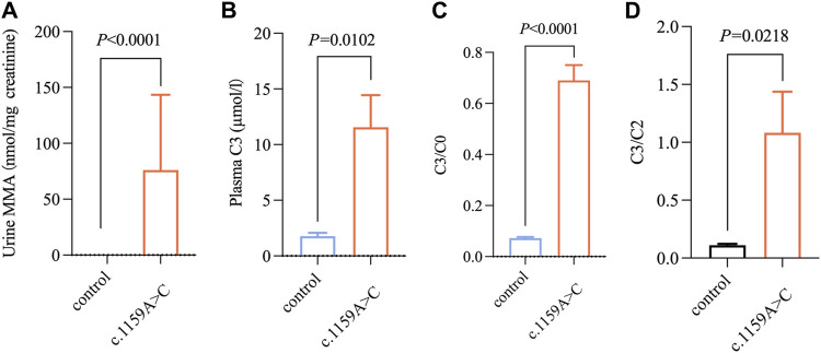 FIGURE 3