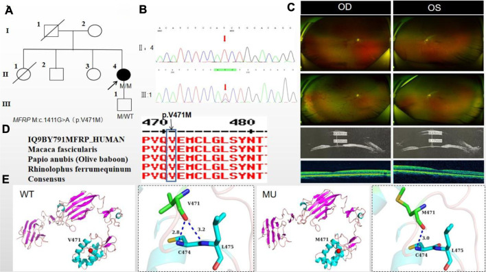 FIGURE 4