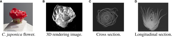 Figure 1