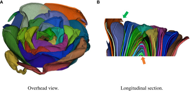 Figure 3