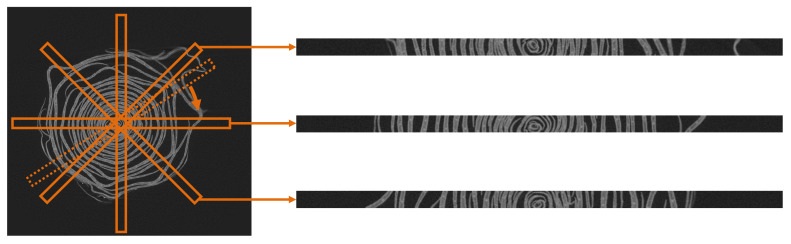 Figure 7
