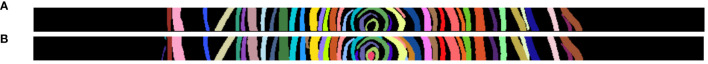 Figure 11