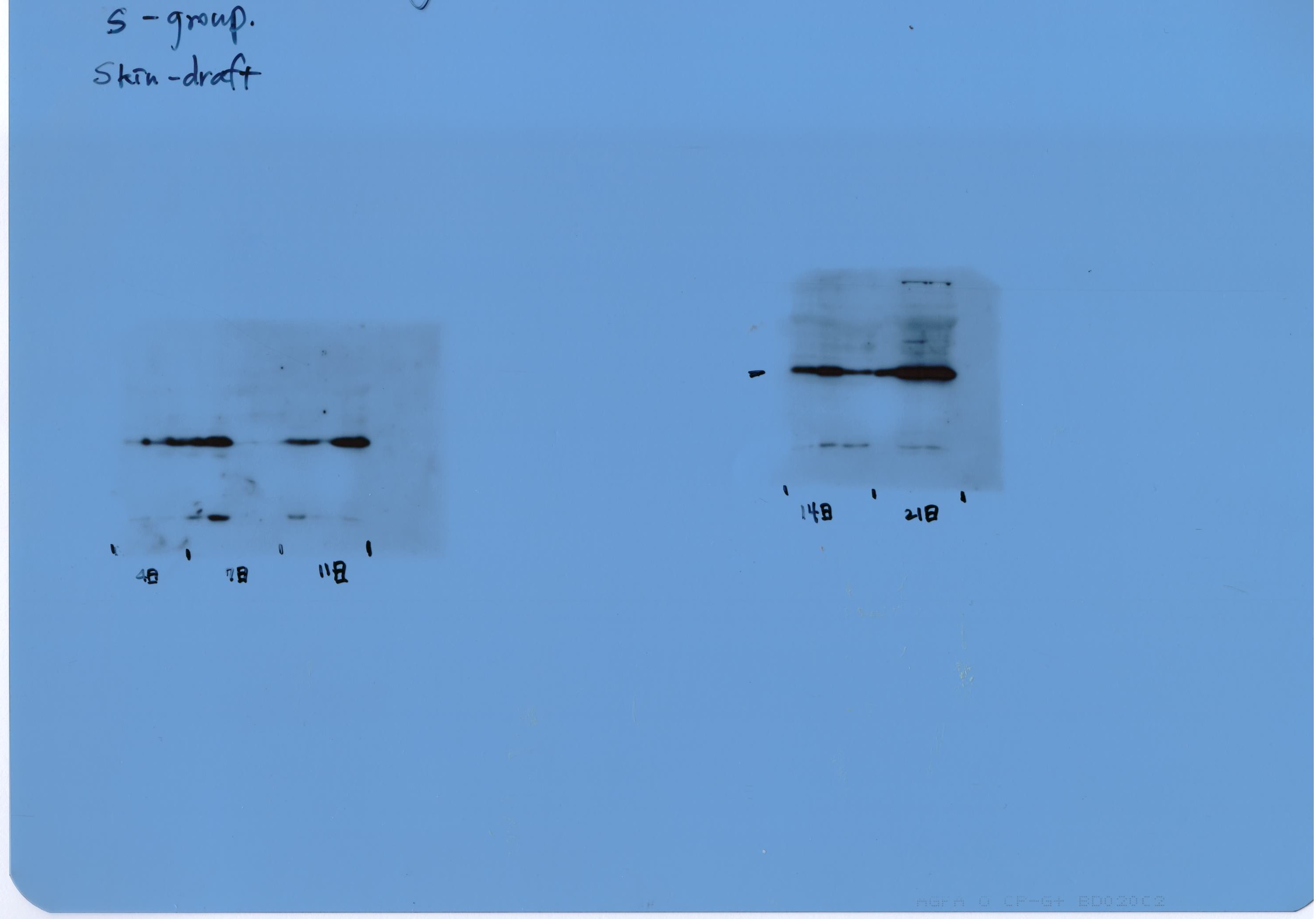 Figure 15