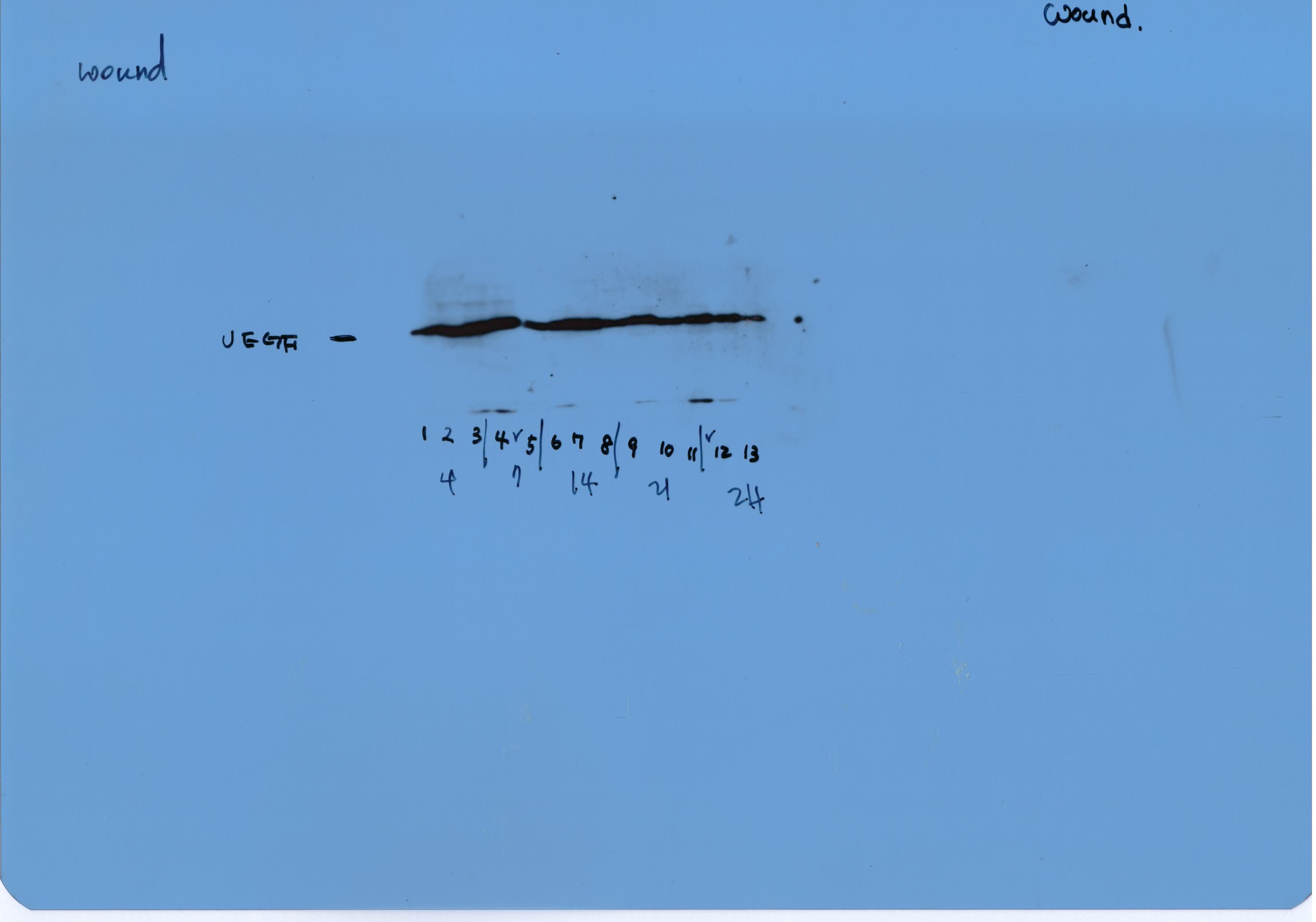 Figure 16
