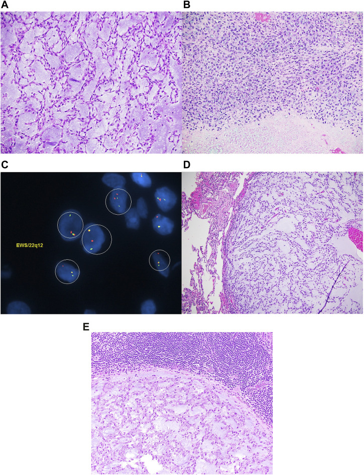 FIGURE 1