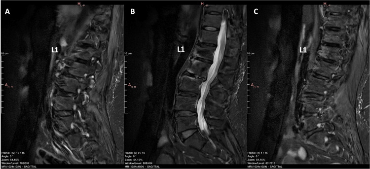 Figure 10
