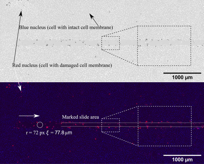 Figure 7