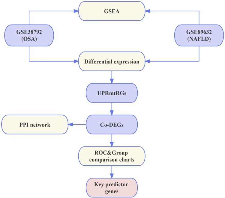 FIGURE 1