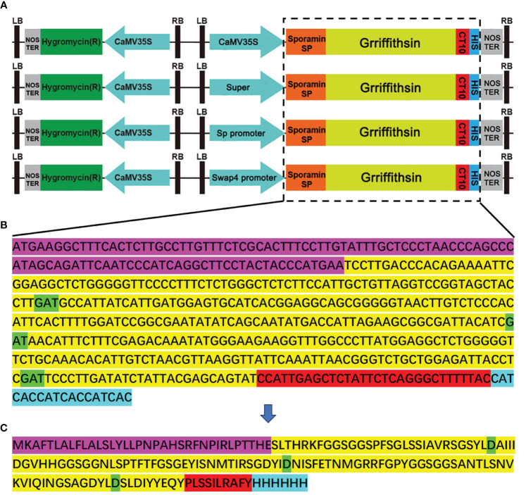 Figure 1