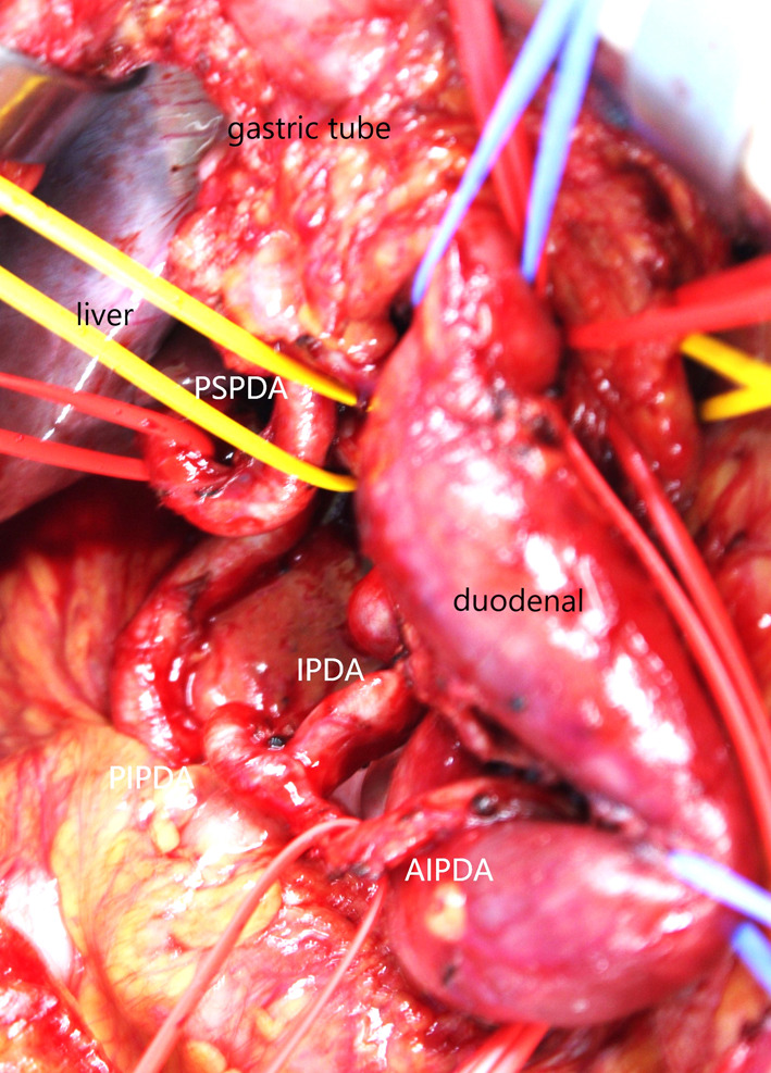 Figure 7