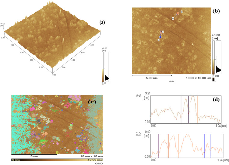 Fig. 3