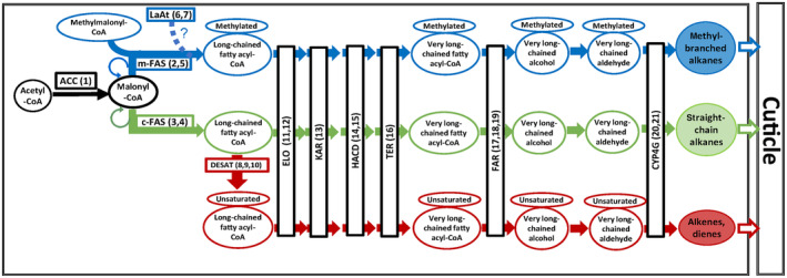 FIGURE 1