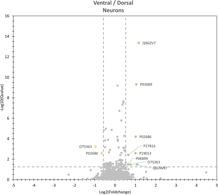 Fig 5
