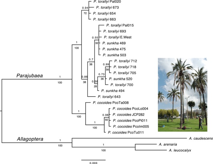 FIGURE 2