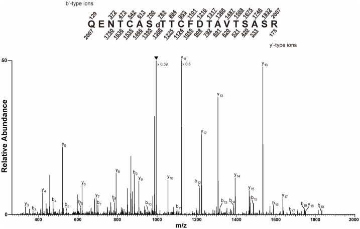 Figure 4
