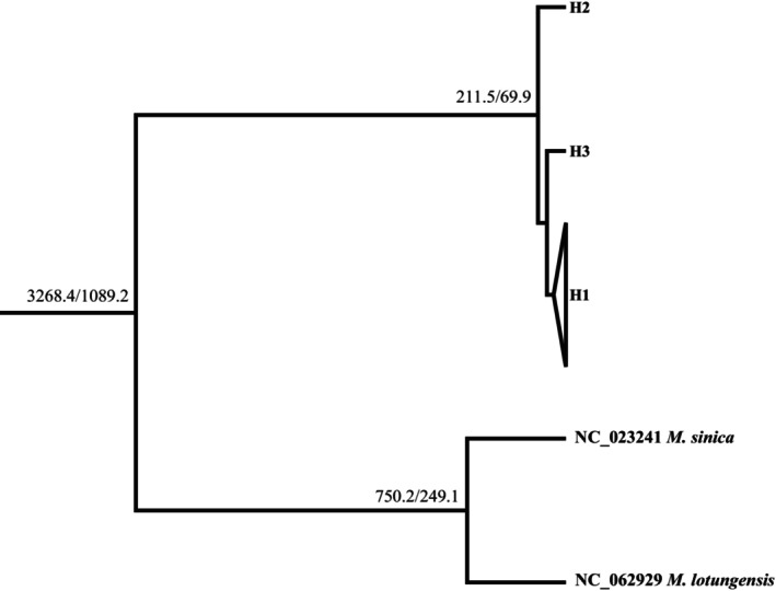 FIGURE 8