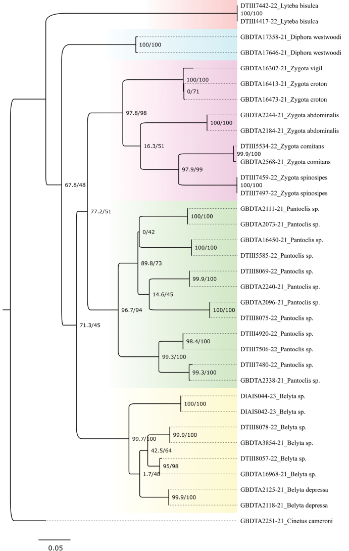 Figure 13
