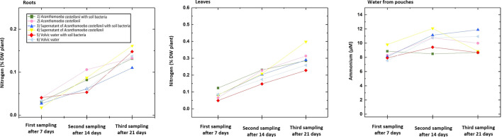Figure 5