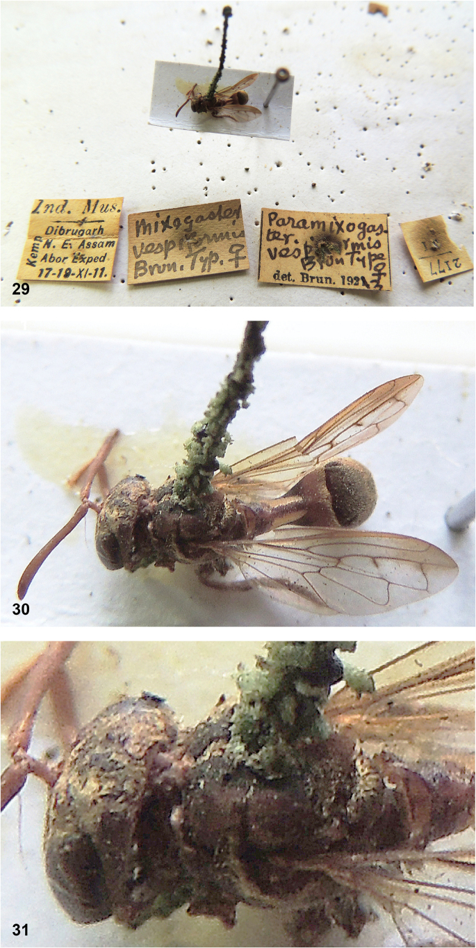 Figure 15