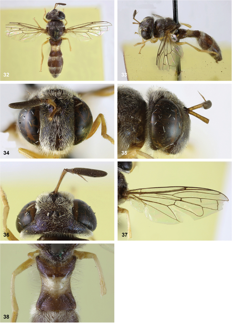 Figure 16