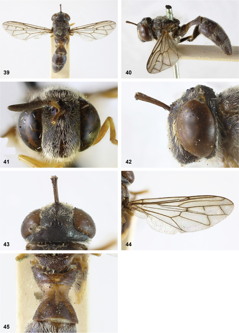 Figure 17