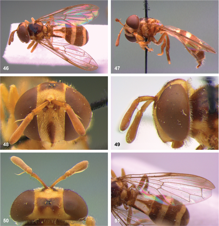 Figure 18