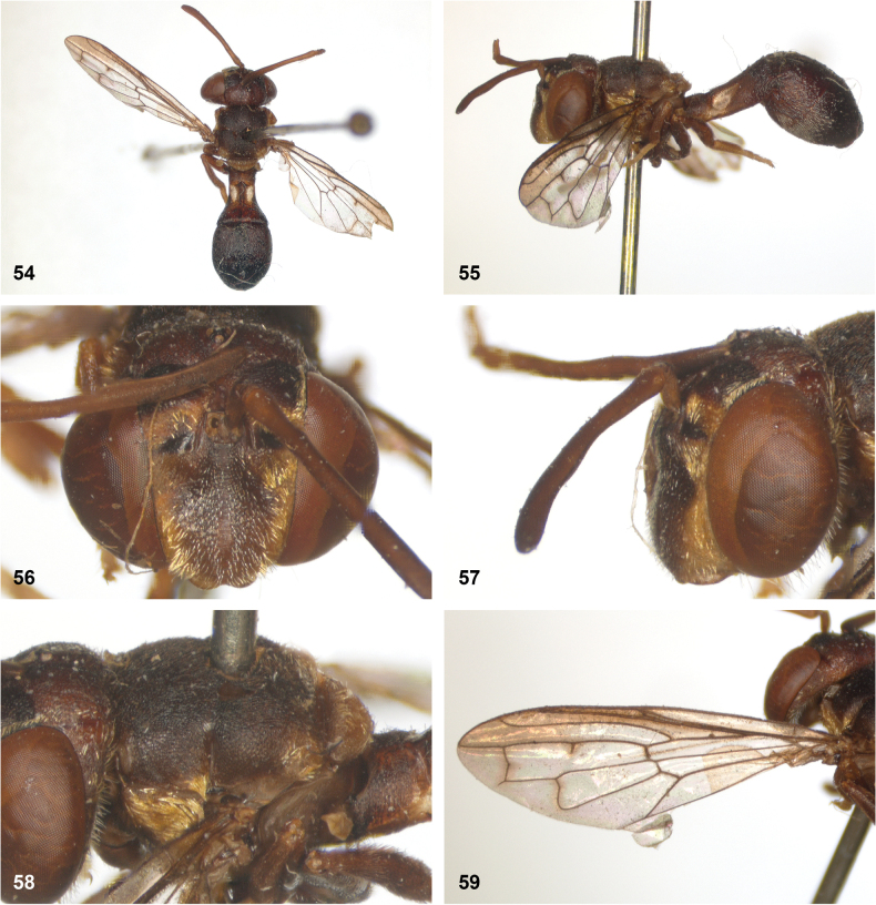 Figure 20