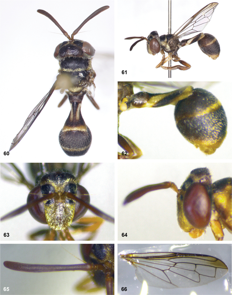 Figure 21