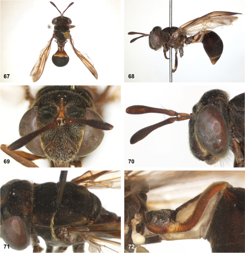 Figure 22