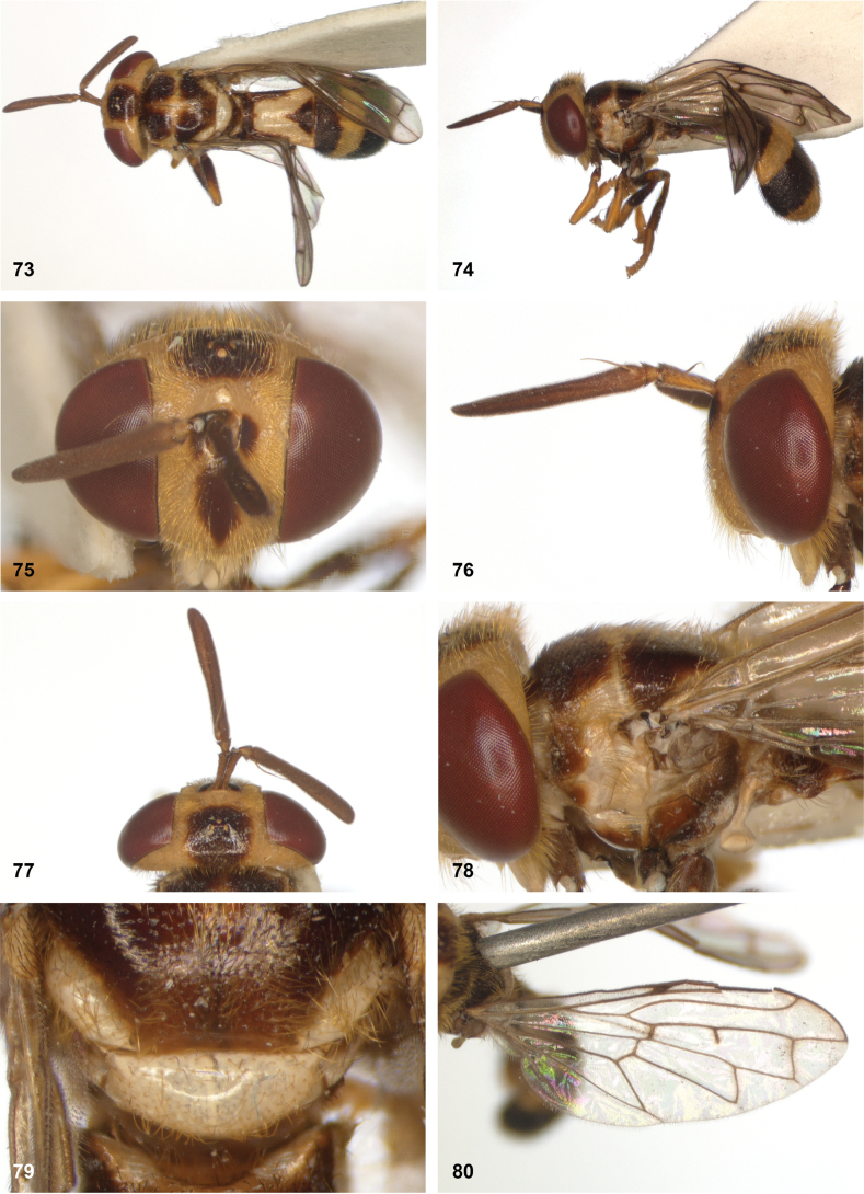 Figure 23