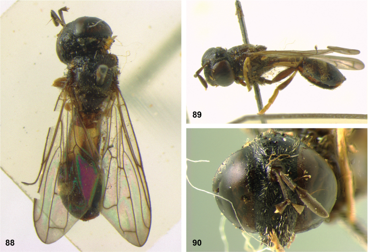 Figure 25