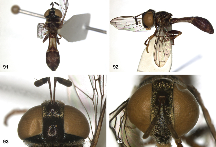 Figure 26