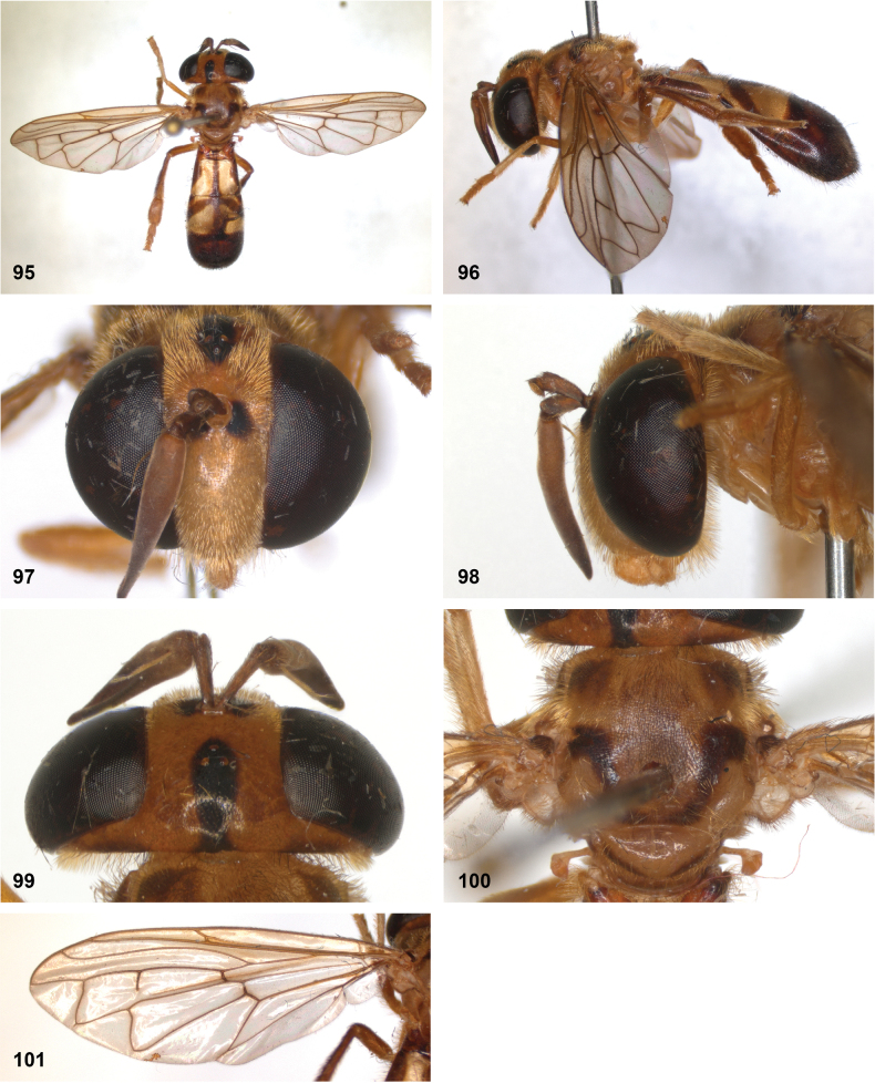 Figure 27
