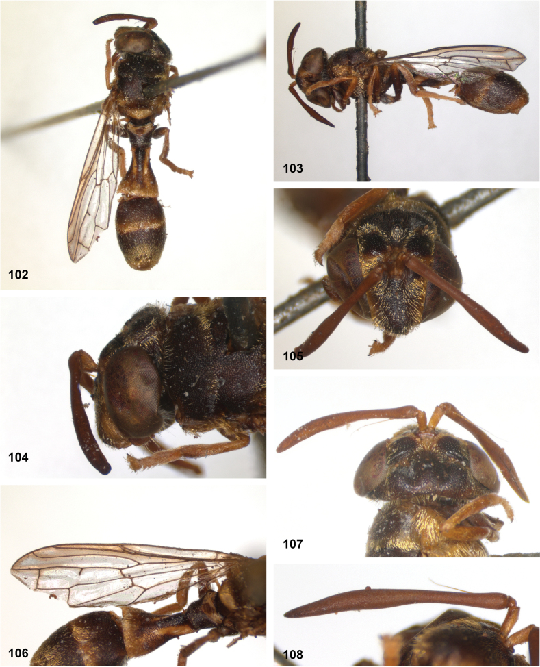 Figure 28