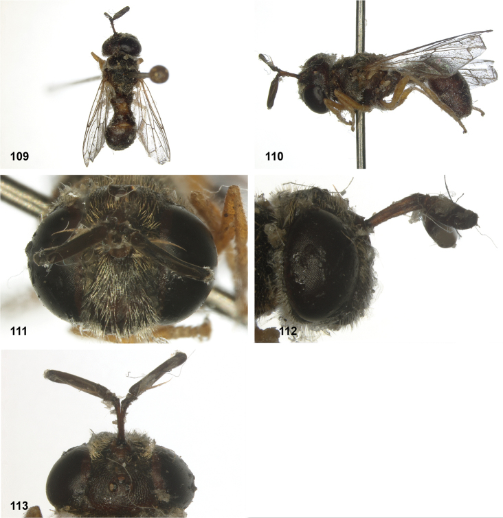 Figure 29