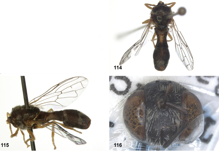Figure 30