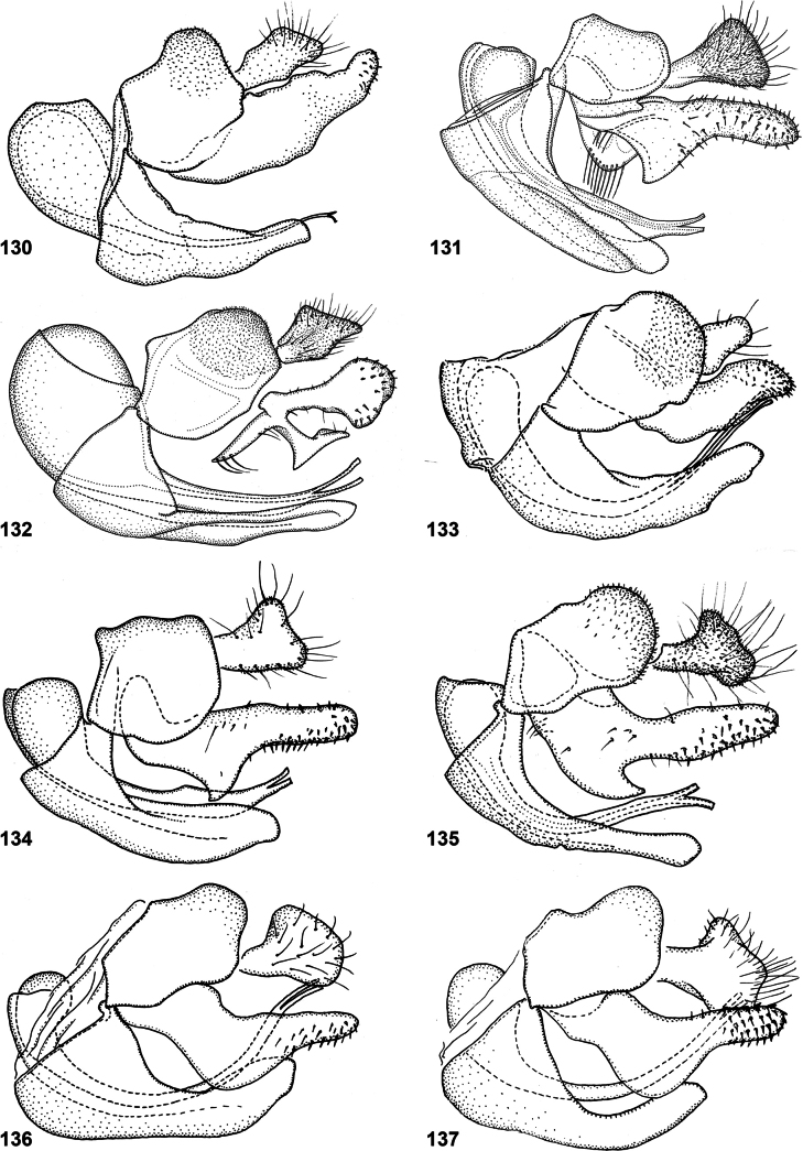 Figure 34