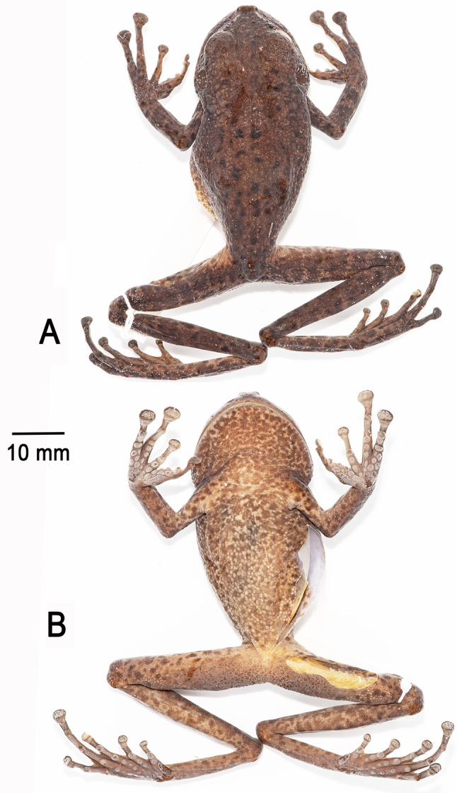 Figure 12