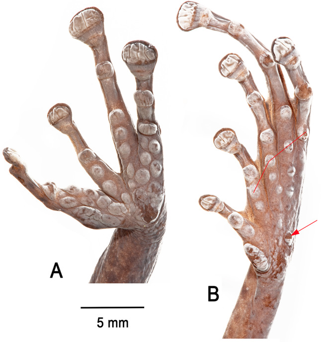 Figure 13
