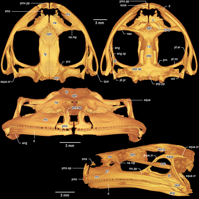 Figure 14