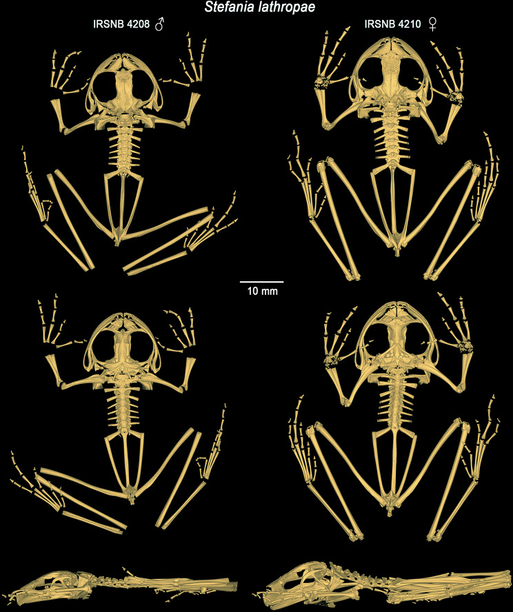 Figure 15