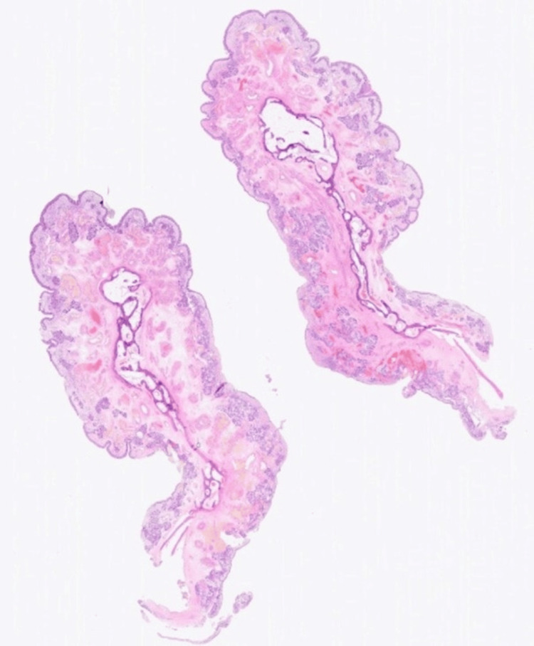 Figure 8