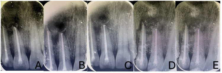 Figure 6