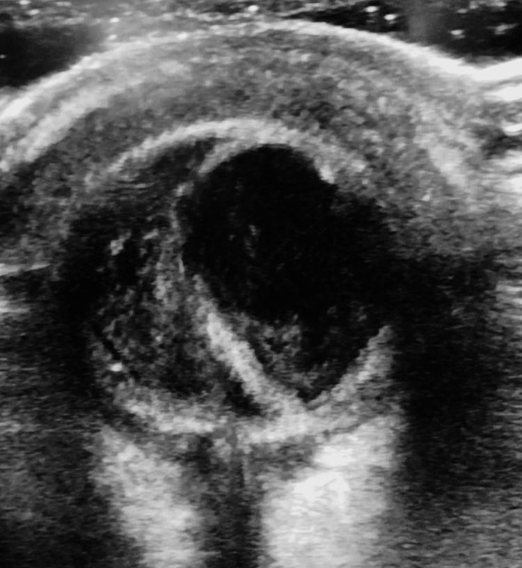 Figure 8
