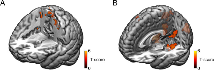 Fig 5